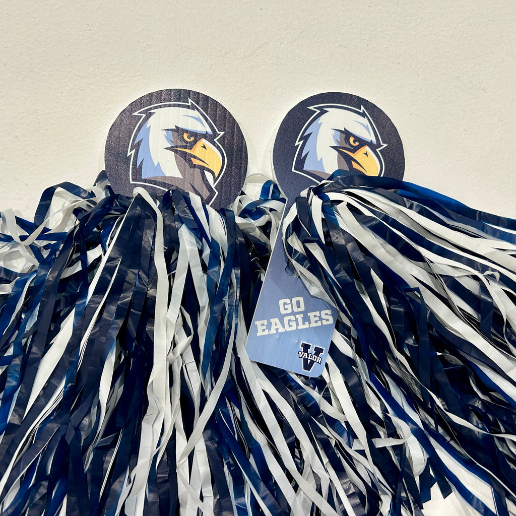 Swoop  Pom Pom