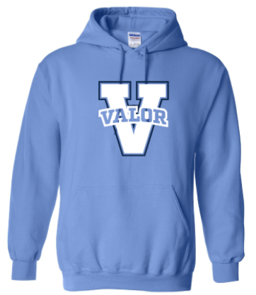 Essentials Pullover Hoodie - Columbia