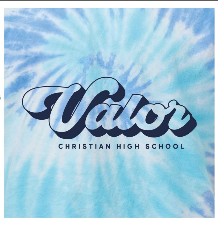 Tie Dye MV Sport Wild Tee