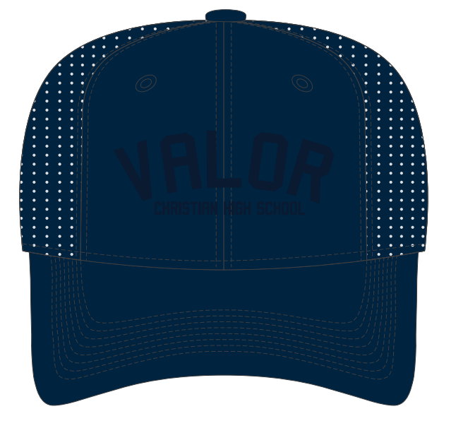 3D Embroidered Performance Hat - Navy