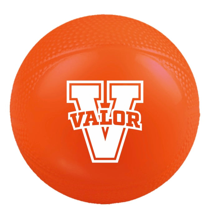 Valor Mini Basketball