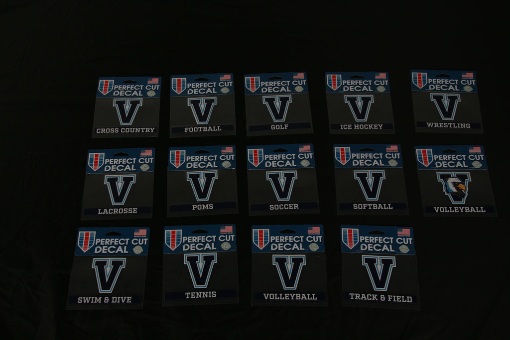 Car Decal V - Any Sport